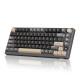 Royal Kludge RK M75 RGB Tri-Mode Hot-Swappable Silver Switch Mechanical Keyboard