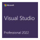 Visual Studio Professional 2022